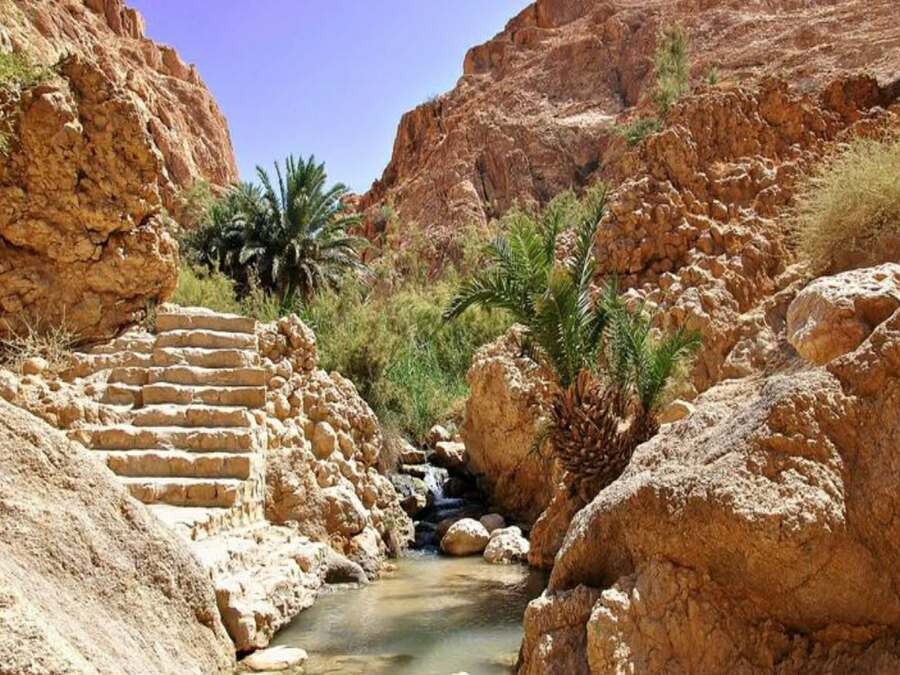 Circuit privé de 3 jours/ 2 nuits: Découverte de Sahara de la Tunisie