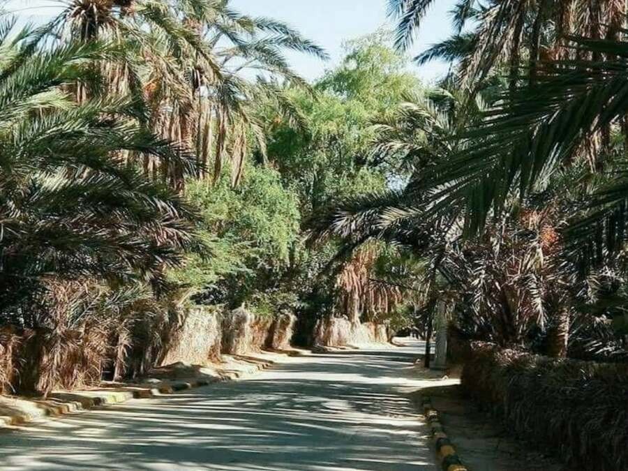 Circuit privé de 3 jours/ 2 nuits: Découverte de Sahara de la Tunisie