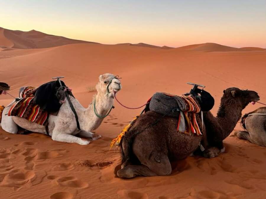 Circuit privé de 3 jours/ 2 nuits: Découverte de Sahara de la Tunisie