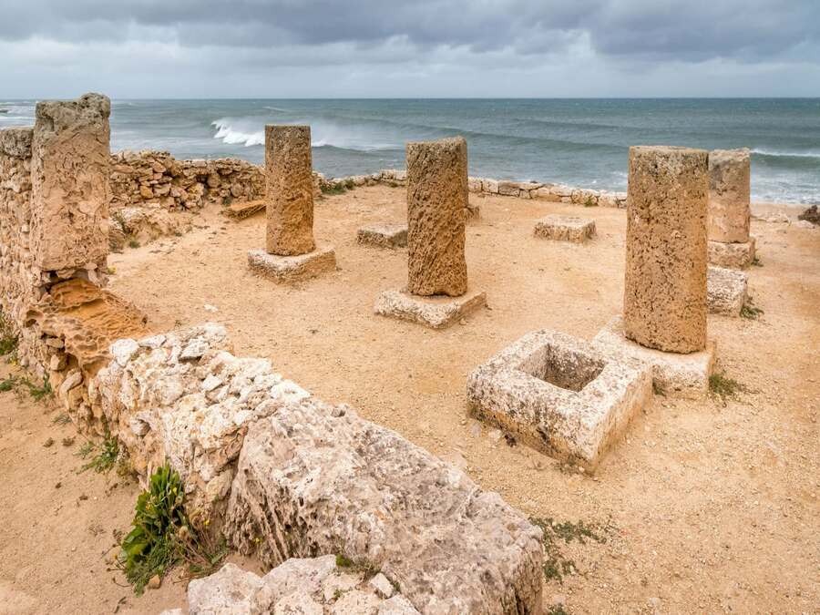 Cap Bon- Hammamet Nabeul Kerkouane et Haouaria- Départ de Tunis ou de Hammamet