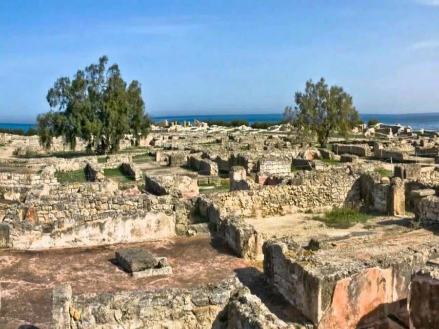 Cap Bon- Hammamet Nabeul Kerkouane et Haouaria- Départ de Tunis ou de Hammamet