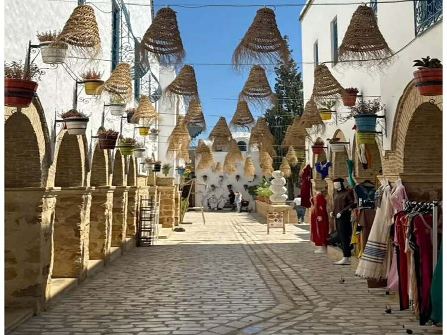Cap Bon- Hammamet Nabeul Kerkouane et Haouaria- Départ de Tunis ou de Hammamet