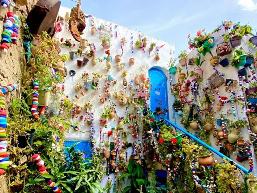 Cap Bon- Hammamet Nabeul Kerkouane et Haouaria- Départ de Tunis ou de Hammamet