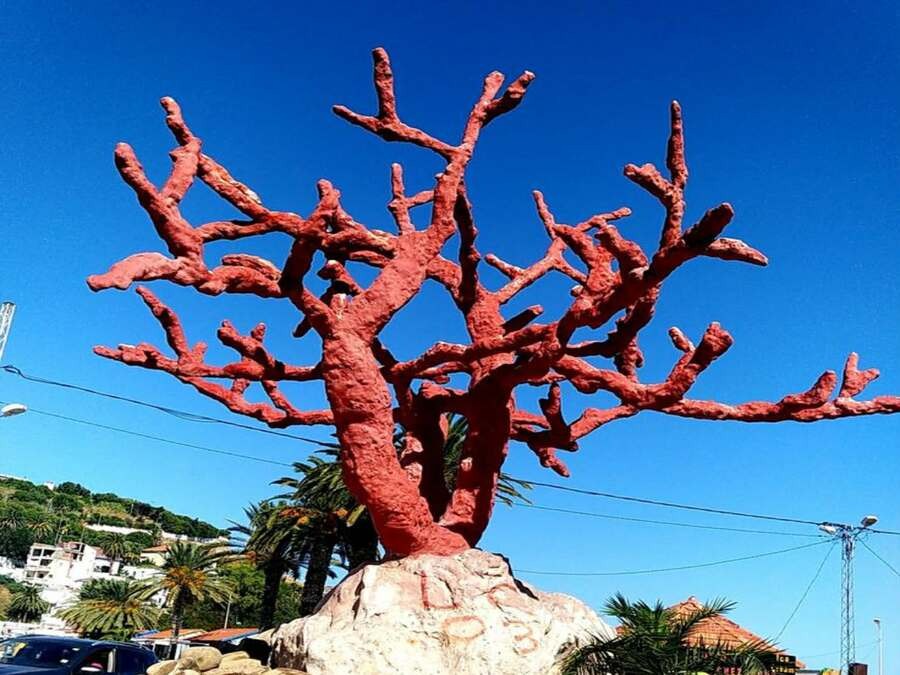 Circuit privé Nord-Ouest Tunisien en 2 jours/ 1 nuit- depuis Tunis ou Hammamet