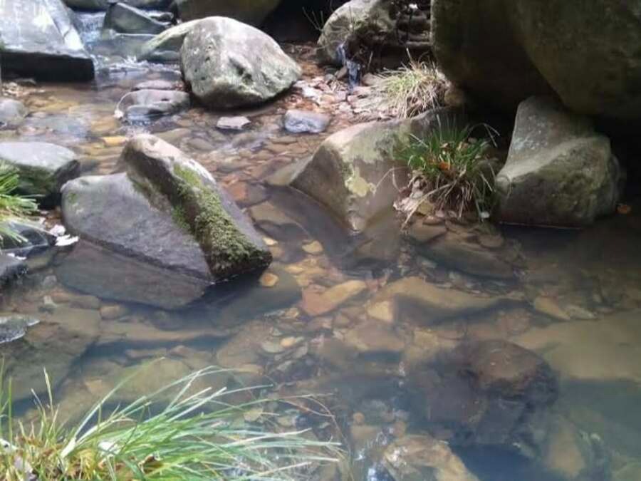 Circuit privé Nord-Ouest Tunisien en 2 jours/ 1 nuit- depuis Tunis ou Hammamet