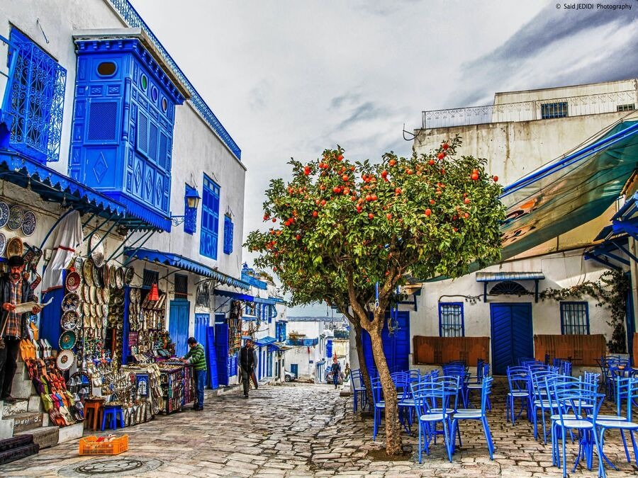 Excursions privées: Escale croisière La Goulette Tunis: Carthage, Sidi Bousaid et la Médina
