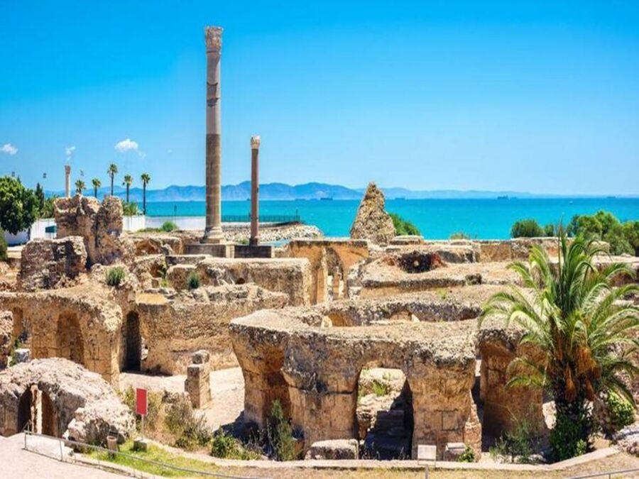Excursions privées: Escale croisière La Goulette Tunis: Carthage, Sidi Bousaid et la Médina
