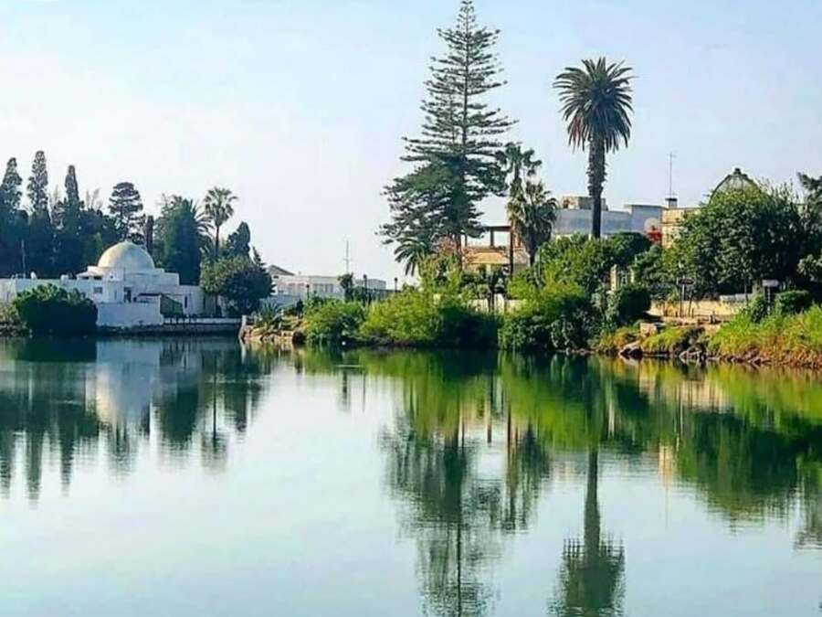 Excursions privées: Escale croisière La Goulette Tunis: Carthage, Sidi Bousaid et la Médina