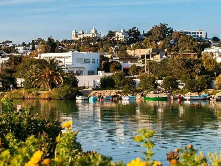 Excursions privées: Escale croisière La Goulette Tunis: Carthage, Sidi Bousaid et la Médina