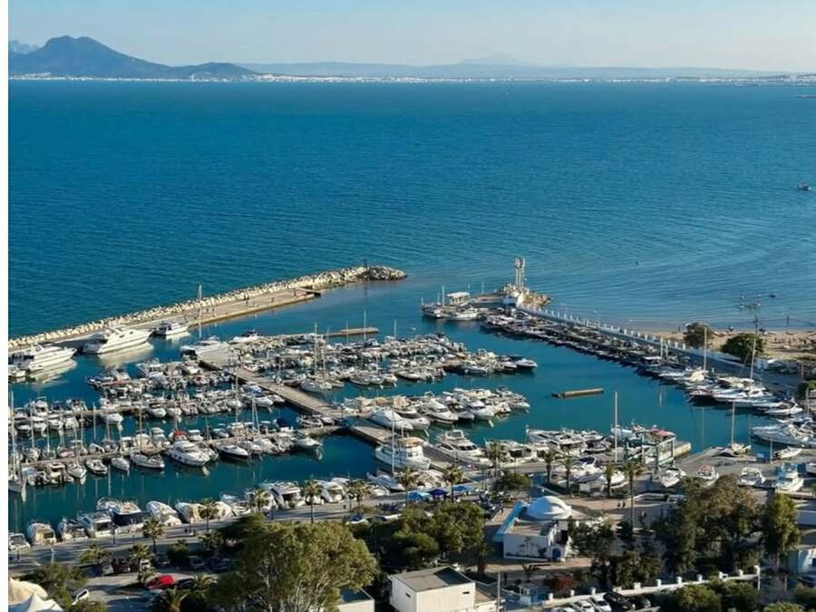 Excursions privées: Escale croisière La Goulette Tunis: Carthage, Sidi Bousaid et la Médina