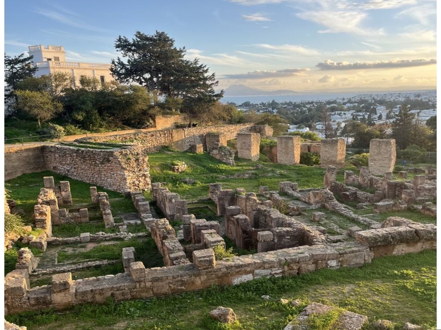 Excursions privées: Escale croisière La Goulette Tunis: Carthage, Sidi Bousaid et la Médina