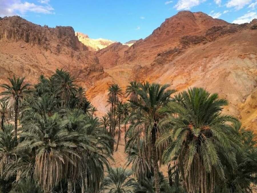 Expérience Sahara Premium en Quad- 4 jours- 3 nuits: Évasion inoubliable en Tunisie