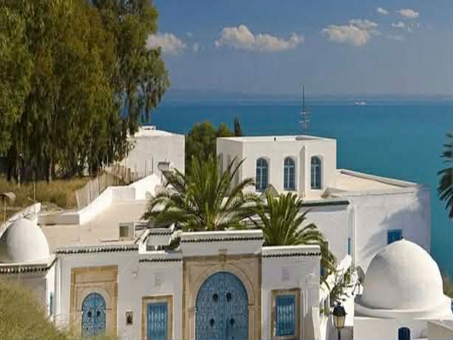 Journée entière Musée du Bardo, Medina, Carthage et Sidi Bousaid depuis Tunis ou Hammamet