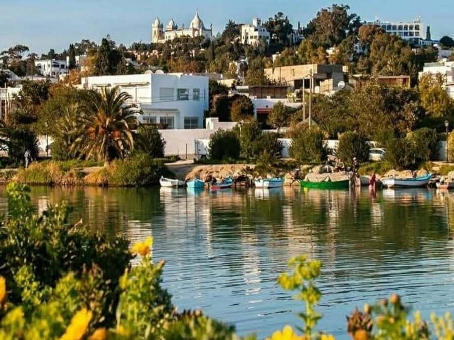 Journée entière Musée du Bardo, Medina, Carthage et Sidi Bousaid depuis Tunis ou Hammamet