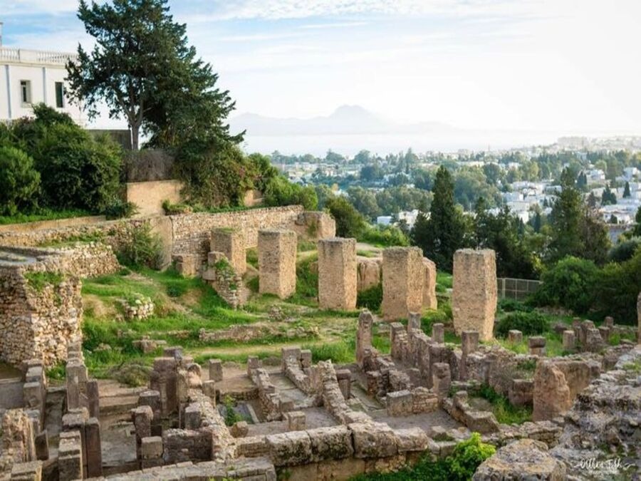 Journée entière Musée du Bardo, Medina, Carthage et Sidi Bousaid depuis Tunis ou Hammamet