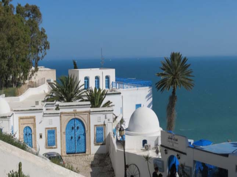 Visite privée demi-journée Sidi Bousaid-Carthage depuis Tunis ou Hammamet