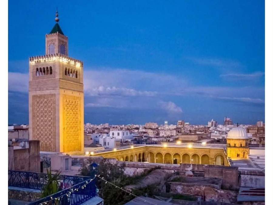 Visite privée d'une demi-journée Musée du Bardo et la Medina départ de Tunis ou de Hammamet