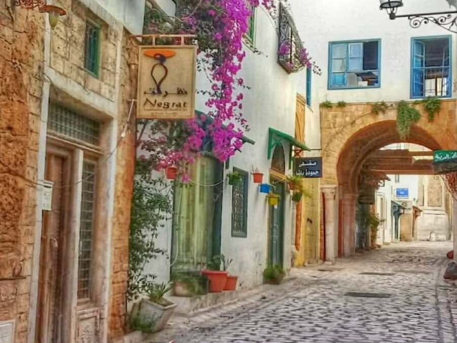 Visite privée d'une demi-journée Musée du Bardo et la Medina départ de Tunis ou de Hammamet