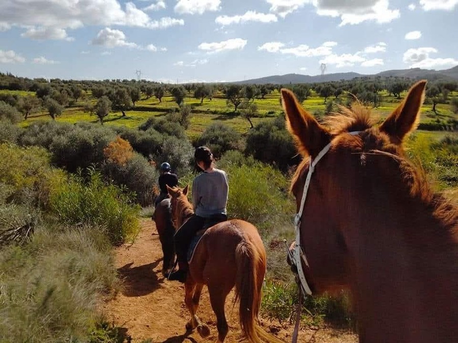 Balade à cheval - Collines de Sidi Thabet Tunis