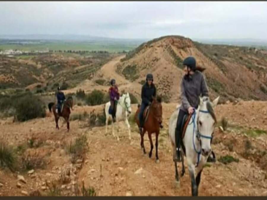 Balade à cheval - Collines de Sidi Thabet Tunis