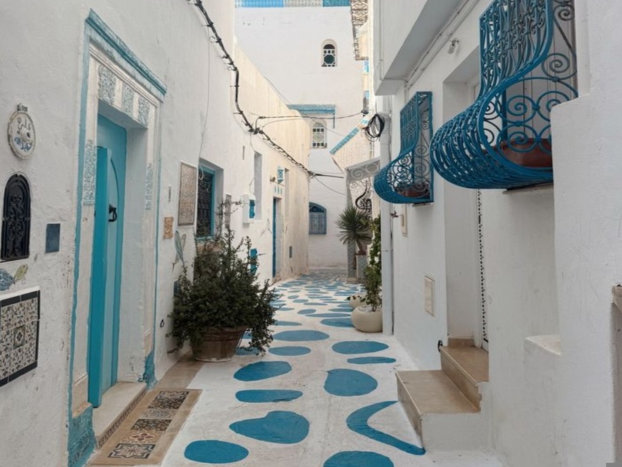 Journée entière version confort & authentique: Hammam et excursion à Hammamet depuis Tunis 