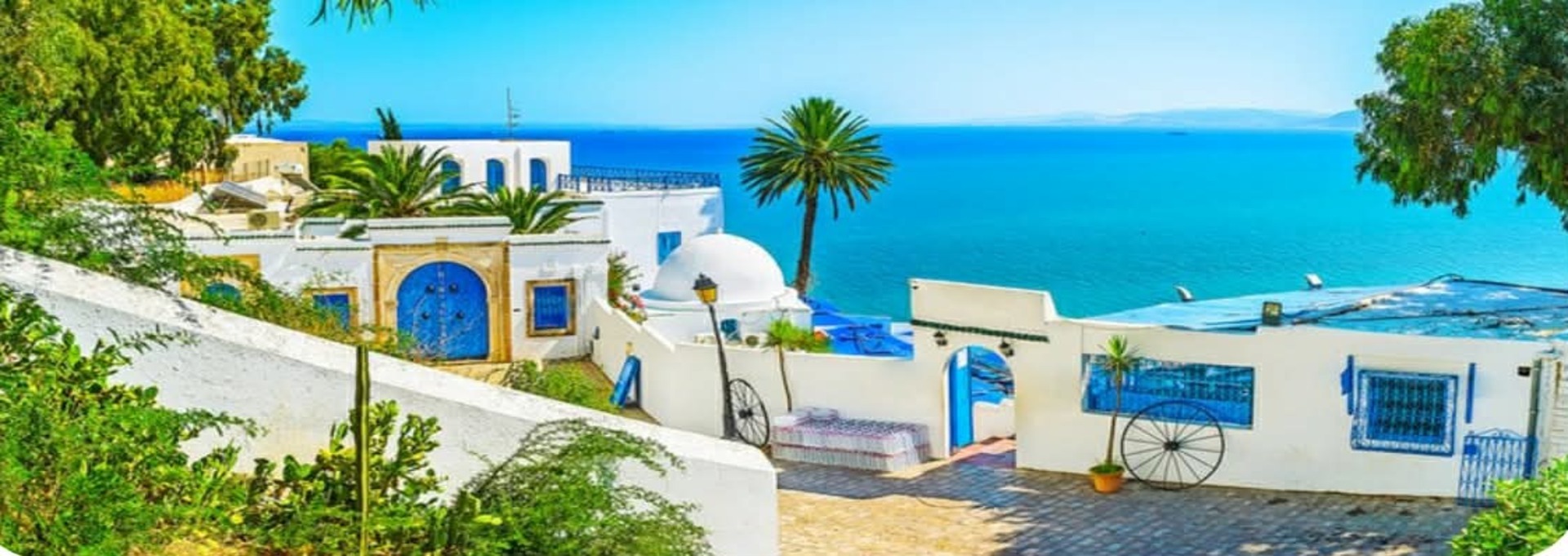 Excursions exclusives